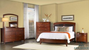 Bộ giường tủ bằng gỗ Xoan Đào - GTN 28